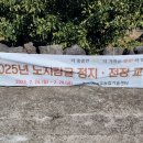 제주위미농업협동조합신례지점 | 2025년 노지 감귤 정지·전정 교육