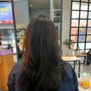 대학동 미용실 &lt;아마릴리스 헤어살롱&gt; 가을 천연 염색 추천 및 밀본 크리닉 받은 후기