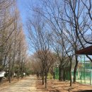 부곡도서관옆공원 이미지