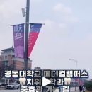 경동대 가는길 이미지