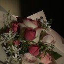 유월의하루 의원 이미지