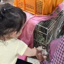 세곡농장 이미지