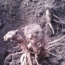 묘하우스 이미지