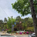 스터디독스쿨 | 독학 독린이 A1시험, 공부, 합격 후기