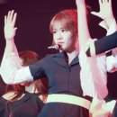 리브