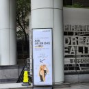 교촌치킨성덕점 | 교촌치톡콘서트 2회차 열린 치톡다녀온 솔직후기