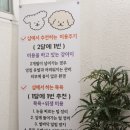 다정한 개아빠 이미지