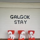 갈곡스테이 이미지