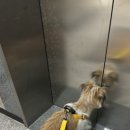 언신회관 이미지