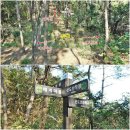 하동황금발전소3호 태양광발전소 | 신안군 선도(蟬島) 앞재봉(79.0m)-대덕산(143.4m)-옥녀봉(93.8m)-범덕산(134.3m)-큰딱지산(123.1m)-금...