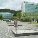 횡성(인천) 이미지