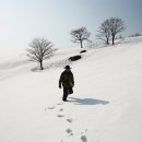 대관령전망대 이미지