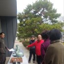 강진-50 이미지