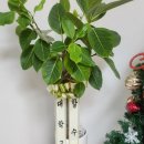 트러스트부천연기연극학원 이미지