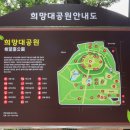 희망대공원 벽천분수 옆 | 능소화를 볼 수 있는 경기도 성남 가볼만한곳 희망대공원