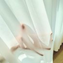미와창 - 거제시 장평로 16-14 | 🌿 양산 대방8차 아늑한 거실 완성! 미와창 헤비쉬폰 커튼 후기