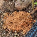 하늘소 농장 이미지