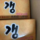 2025 문화광장콘서트 - 봄이 오는 소리 | [소비일기] 덕소에서 광화문에 오기까지 I CHANGMO : THE EMPEROR(창모 : 더 엠퍼러) 콘서트 후기🎻