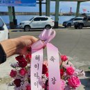 졸라스쿠버