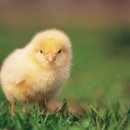 동덕여자대학교 비만미용향장대학원 이미지