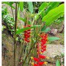 낙원파크 이미지