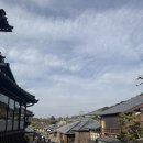 미인개 | 교토 기요미즈데라 당고 맛집 추천 | 월하미인 전메뉴 후기 (Gekkabijin Mitarashi Dango)