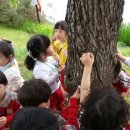 꿈동산몬테소리어린이집 이미지