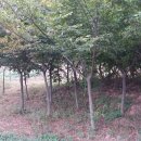 변산농장 이미지