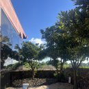 협재차경 별뉘 이미지