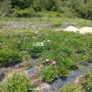 주월농장 이미지