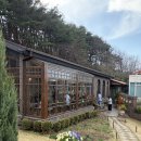 동해시-20 | 동해 묵호카페 현상소, 유럽감성 정원 카페 후기