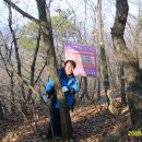 창만5리 Daum카페