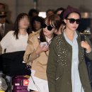 상하이 레인보우 이미지