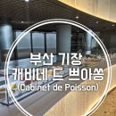 DE051 티스토리