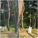 안녕커피 두동점 | [울산/두동] 아이와 함께한 여름날의 오후 산책, 감성 가득한 두동 카페 '묵리459'(feat.모래놀이)