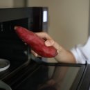 손애용