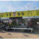 늘봄꽃화원 이미지