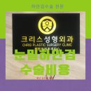 크리스성형외과의원 네이버블로그