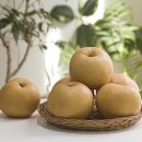 아침주식회사 이미지