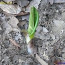 좋은만남 이미지