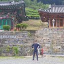 의령 수도사 감로탱 티스토리