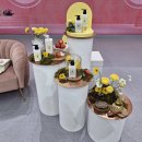 블랙헤어 이미지