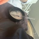 (유)청정개발 | [대전두피클리닉] 대전두피케어 맛집 “모바이오 대전유성점” 솔직 후기