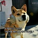 킹콩부대찌개양산물금점
