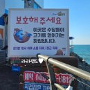 더원너뱅이횟집