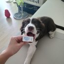 이선동물병원 이미지