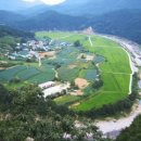 소나무(산촌마을) 이미지