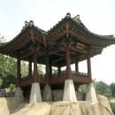 정자 이미지