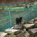 경남상사 이미지