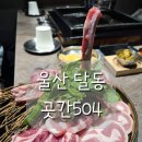 곳간504 | 울산 달동 고기맛집 곳간504 숙성스페셜 예약 필수 찐후기